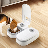 Automatischer Futterautomat für Katzen und Hunde